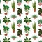 Seamless pattern from different potted house plants in colorful flower pots. Snake plant, calathea and ficus