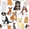 Seamless pattern with different types of small medium and large mixed breed dogs