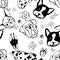 Seamless pattern with Dog breeds. Bulldog, Husky, Alaskan Malamute, Retriever, Doberman, Poodle, Pug, Shar Pei