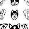 Seamless pattern with Dog breeds. Bulldog, Husky, Alaskan Malamute, Retriever, Doberman, Poodle, Pug, Shar Pei