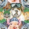 Seamless pattern of of dog, guinea pig, cat, mini pig and rat. Watercolor pets illustration. Watercolor hand drawn