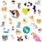 Seamless pattern of dogs, adorable and friendly animal on white background