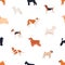 Seamless pattern with dogs of various breeds on white background. Backdrop with cute purebred pet animals of different