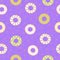 Seamless pattern of doughnuts with colored icing. Trendy beautiful donuts Purple background