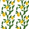 seamless pattern with drawing branches of lemon tree with fruits and leaves