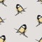 Seamless pattern of drawn fluffy titmouse birds