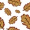 Seamless Pattern Of Dry Brown Pinnatifid Leaves Watercolor