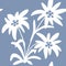 seamless pattern with edelweiss flowers. Snow beauty. Vector illustration. Alpine star. swiss