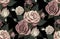 Seamless Pattern of elegant blush toned flowers on a black background.