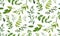 Seamless pattern of Eucalyptus palm fern different tree, foliage