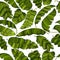 Seamless pattern of exotic, bright green banana leaves, randomly scattered and isolated on a transparent background.