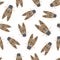 Seamless pattern with exotic cicada flies.