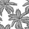 Seamless pattern. Exotic, palm tree with coconuts. Sketch scratch board imitation. Black and white.