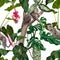 Seamless pattern with exotic trees, plants, flowers and leopard jaguar animals on white background.