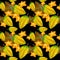 Seamless pattern with exotic tropical carambola fruits. Sweets and yummies