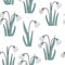 Seamless pattern with the first spring flowers . Vector illustration with graphic snowdrops