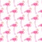 Seamless pattern with flamingos. Hand-drawn background. Vector illustration.