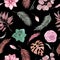 Seamless pattern of floral elements on a black background Boho dried plants and flowers, eucalyptus branches, succulent