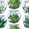 Seamless pattern with florarium with different succulent. Endless texture with home indoor plants