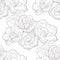 Seamless pattern flower bloom japanese anemone. vector illustration