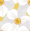 Seamless pattern with flowers daffodils