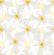 Seamless pattern with flowers daffodils