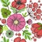 Seamless pattern flowers. Decorative floral background, summer meadow bouquet. Poppy and dandelion, leaves and twigs