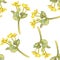 Seamless pattern with flowers of marsh-marigold