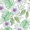 Seamless pattern with flowers. Monstera. Anemone. Watercolor illustration.