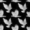 Seamless pattern with flying raven and dove.