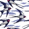 Seamless pattern with flying swallows