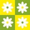 Seamless pattern of four yellow and green squares with white symmetrical daisies