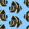 Seamless pattern with French Angelfish or Pomacanthus paru