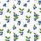 Seamless pattern with fresh blueberries, blueberry bushes. Pattern for textiles, wrapping paper