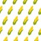 Seamless pattern with fresh yellow corns