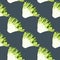 Seamless pattern frisee salad on gray background. Modern ornament with lettuce