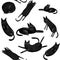 Seamless pattern with funny black cats, drawn elements plant style. Digital hand draw illustration. Design element for wallpaper