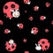 Seamless pattern with funny red and black dots cows look like ladybugs