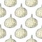 Seamless pattern garlic food decoration. Vegetarian tasty natural. Healthy diet