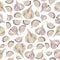 Seamless pattern Garlic. Hand painted watercolor. Handmade fresh food design elements isolated