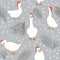 Seamless pattern of geese and geese paws imprints. Winter background with snow and pine branches. Vector illustration in