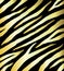 Seamless pattern of golden zebra print on black