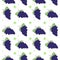 Seamless pattern grape background illustration vector eps 10