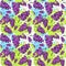 Seamless Pattern Grape Fruits Summer Ornament Background