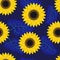 Seamless pattern Graphic sunflower