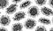 Seamless pattern Graphic sunflower and sunflower seeds