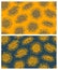 Seamless pattern Graphic sunflower and sunflower seeds