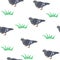 Seamless pattern gray pigeons, green grass on white background. Drawn grey rock doves repeating print, vector eps 10