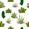 Seamless pattern with green leaves cactus, desert plants vector illustration isolated great for fabric, textile, gift wrapping