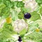 Seamless pattern of green vegetables, celery, cauliflower, olives, cabbage